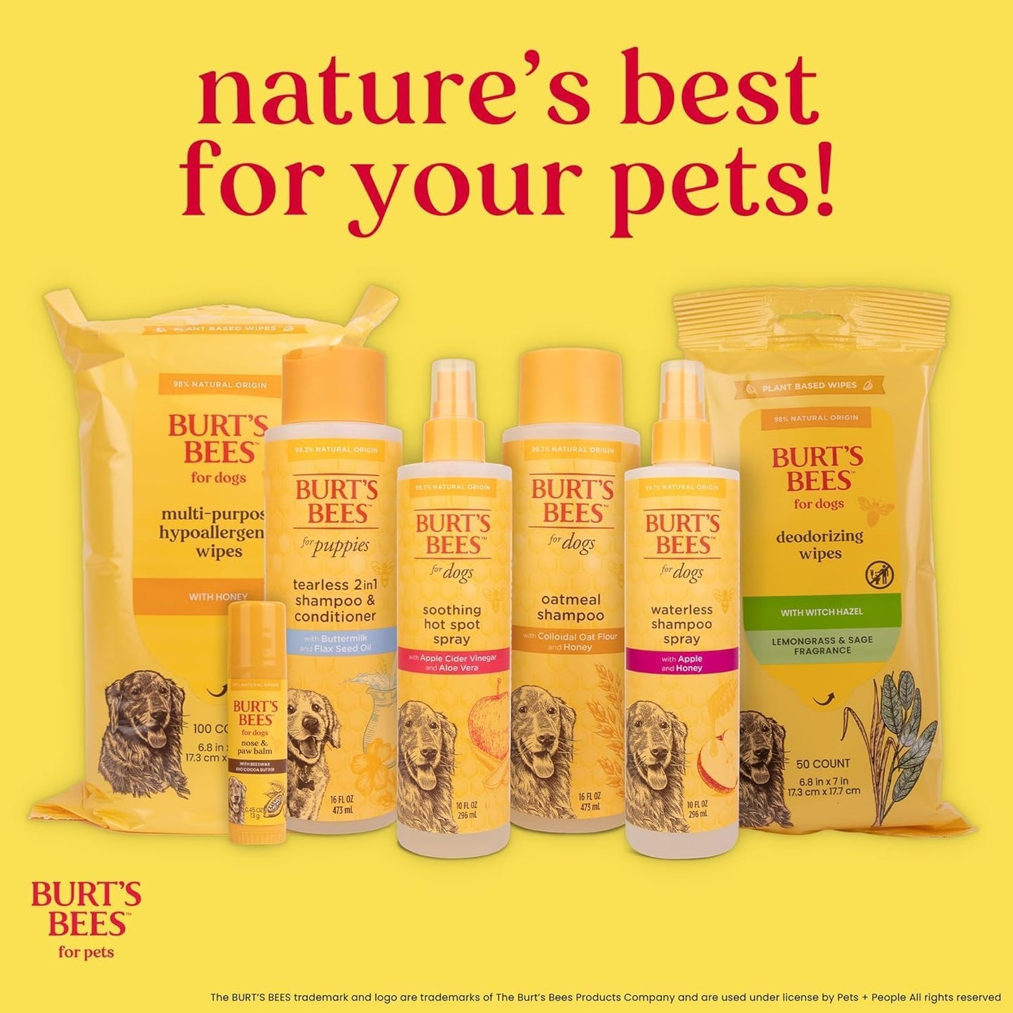 Deodorizing Dog Shampoo Apple Rosemary 95 Percent Natural Ph Balanced Sulfate-Free Smelly Dogs 16 FL OZ 2 Pack